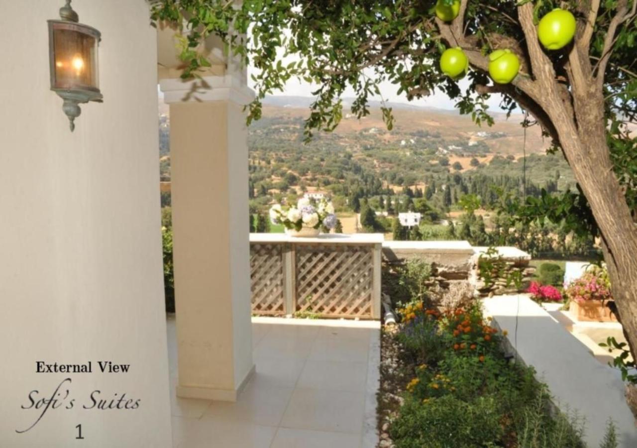 Sofi'S Suites Andros Bagian luar foto