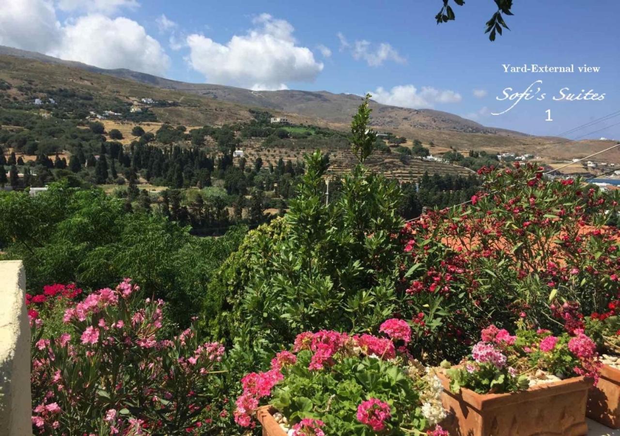 Sofi'S Suites Andros Bagian luar foto
